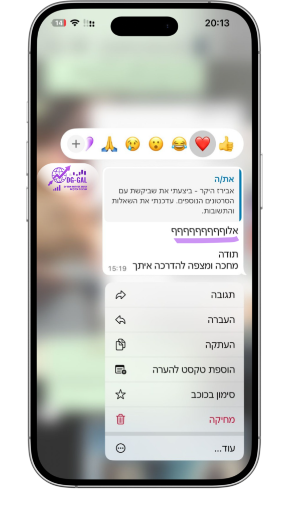 טמפלט ביקורות DG-GAL (4)