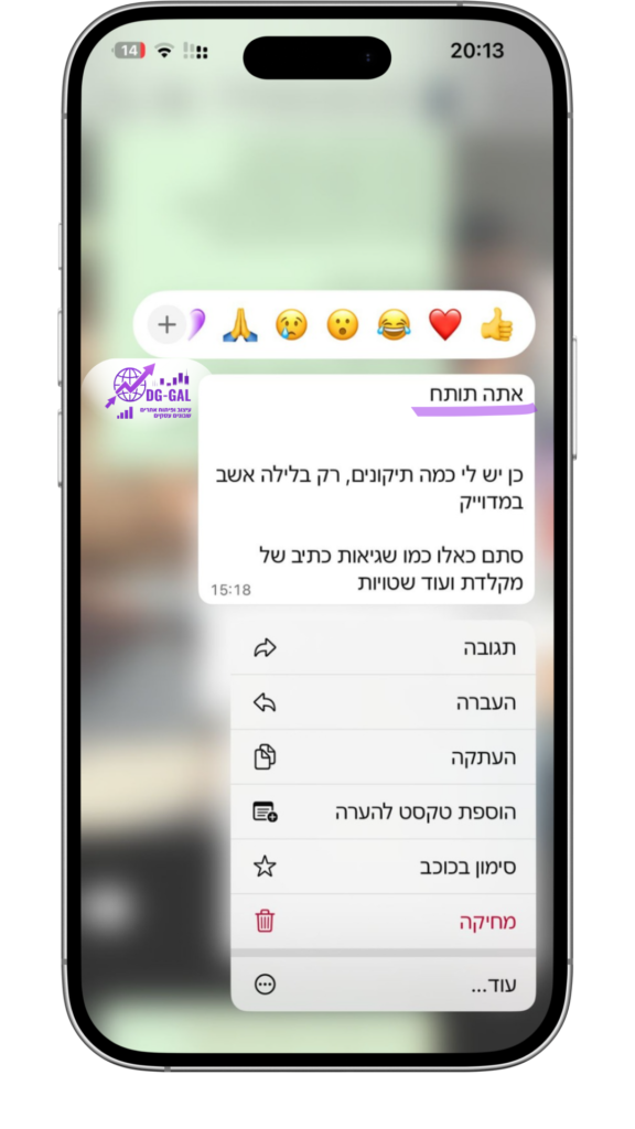 טמפלט ביקורות DG-GAL (5)