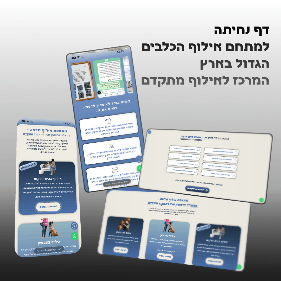 מרכז אילוף