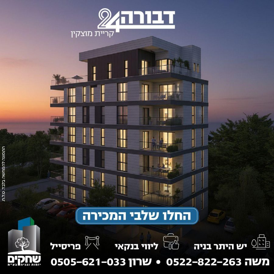 ברורשור הדמיה 01